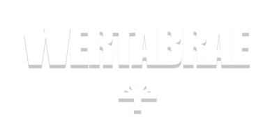 Vertabrae Logo